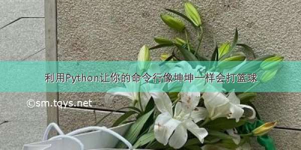 利用Python让你的命令行像坤坤一样会打篮球