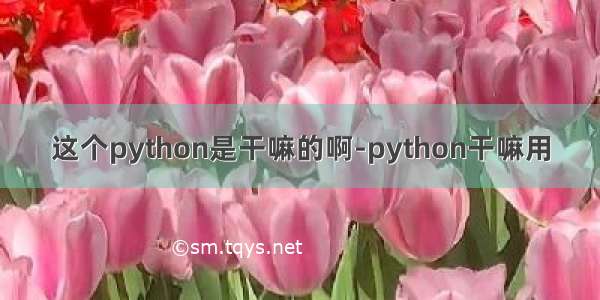 这个python是干嘛的啊-python干嘛用