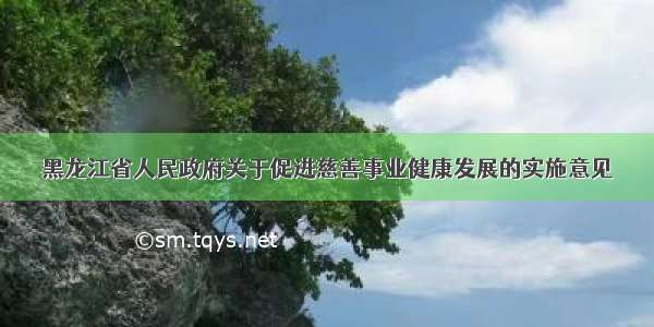 黑龙江省人民政府关于促进慈善事业健康发展的实施意见
