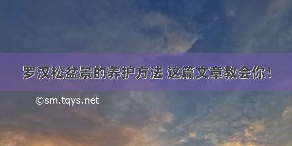 罗汉松盆景的养护方法 这篇文章教会你！