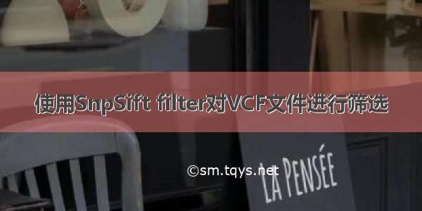 使用SnpSift filter对VCF文件进行筛选