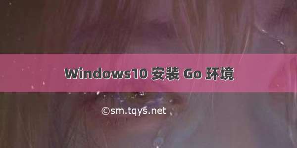 Windows10 安装 Go 环境