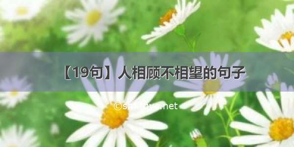 【19句】人相顾不相望的句子