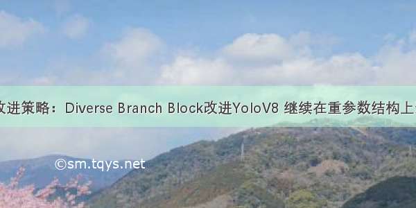 YoloV8改进策略：Diverse Branch Block改进YoloV8 继续在重参数结构上恐龙抗狼