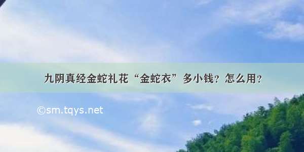 九阴真经金蛇礼花“金蛇衣”多小钱？怎么用？