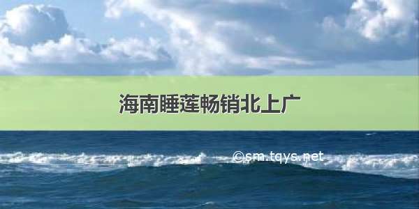 海南睡莲畅销北上广