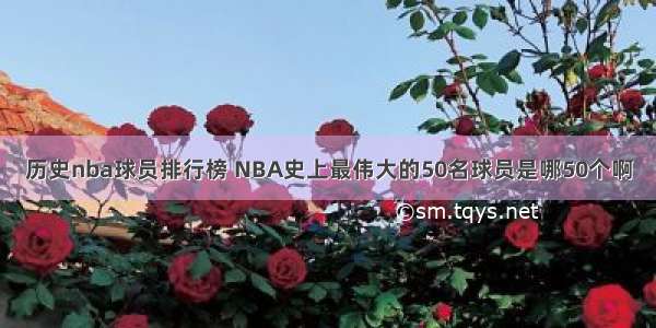 历史nba球员排行榜 NBA史上最伟大的50名球员是哪50个啊