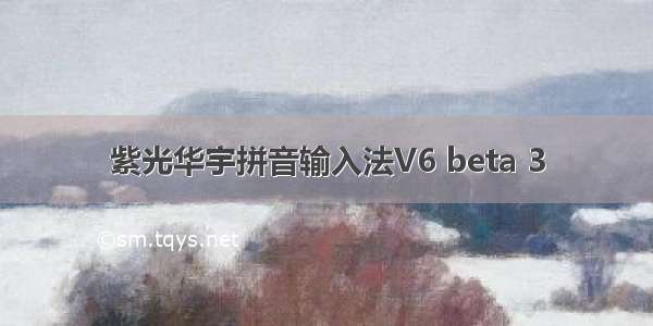 紫光华宇拼音输入法V6 beta 3