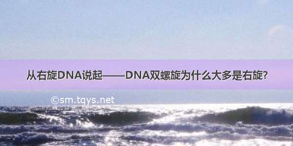 从右旋DNA说起——DNA双螺旋为什么大多是右旋？