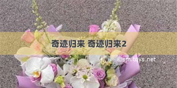 奇迹归来 奇迹归来2