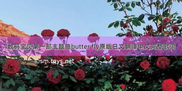 数码宝贝第一部主题曲butter fly原版日文翻译中文完整歌词