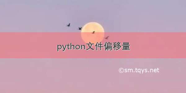 python文件偏移量