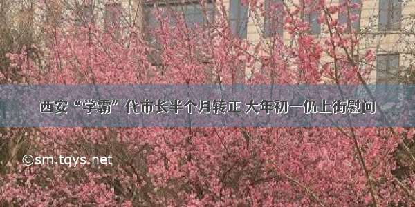 西安“学霸”代市长半个月转正 大年初一仍上街慰问