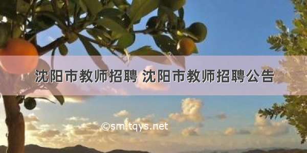 沈阳市教师招聘 沈阳市教师招聘公告