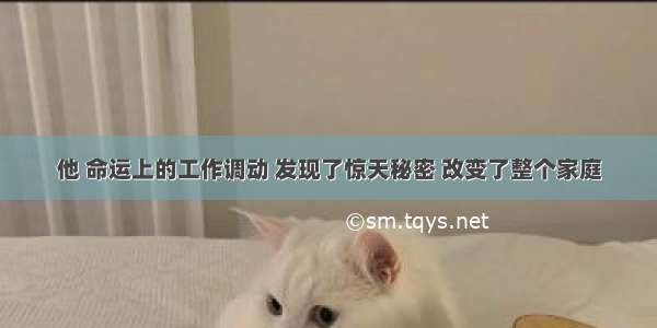 他 命运上的工作调动 发现了惊天秘密 改变了整个家庭