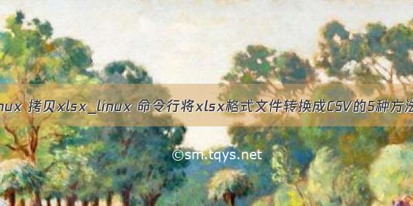 linux 拷贝xlsx_linux 命令行将xlsx格式文件转换成CSV的5种方法