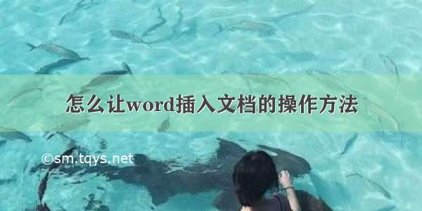 怎么让word插入文档的操作方法