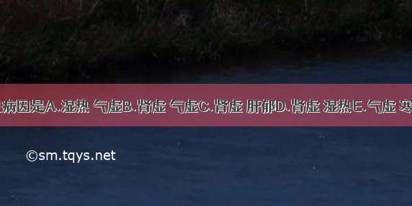 阴挺的常见病因是A.湿热 气虚B.肾虚 气虚C.肾虚 肝郁D.肾虚 湿热E.气虚 寒湿ABCDE