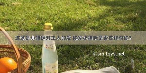 这就是小猫咪对主人的爱 你家小猫咪是否这样对你？