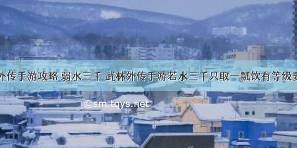 武林外传手游攻略 弱水三千 武林外传手游若水三千只取一瓢饮有等级要求吗