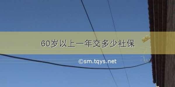 60岁以上一年交多少社保