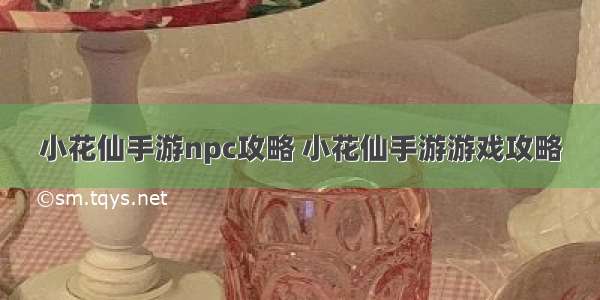 小花仙手游npc攻略 小花仙手游游戏攻略