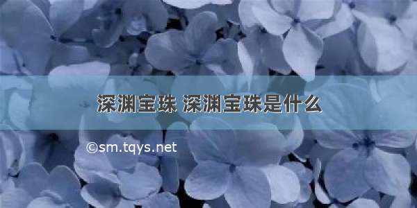 深渊宝珠 深渊宝珠是什么