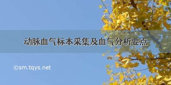 动脉血气标本采集及血气分析要点