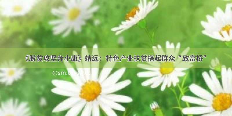 《脱贫攻坚奔小康》靖远：特色产业扶贫搭起群众“致富桥”