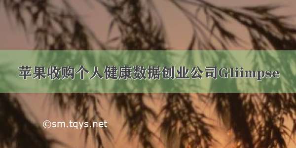 苹果收购个人健康数据创业公司Gliimpse