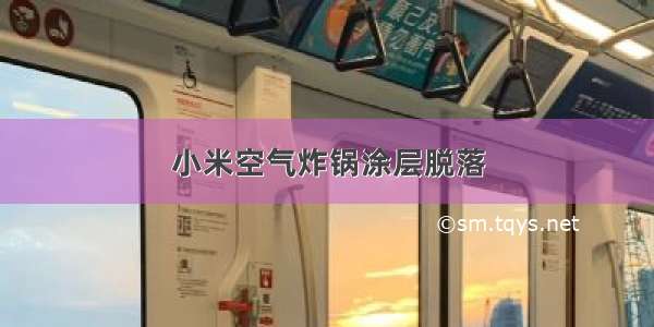 小米空气炸锅涂层脱落