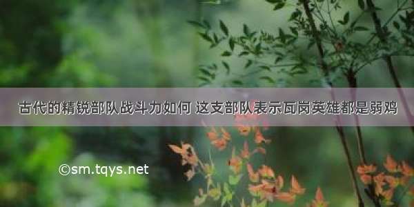 古代的精锐部队战斗力如何 这支部队表示瓦岗英雄都是弱鸡