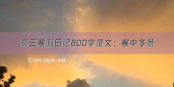 高三寒假日记800字范文：寒中冬景