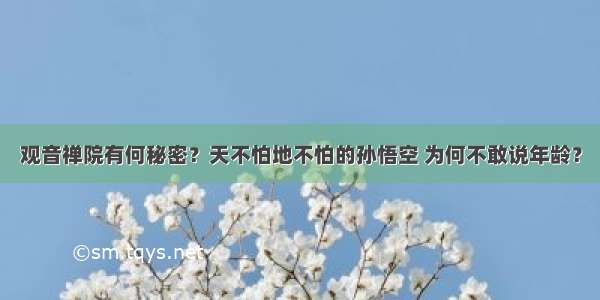 观音禅院有何秘密？天不怕地不怕的孙悟空 为何不敢说年龄？