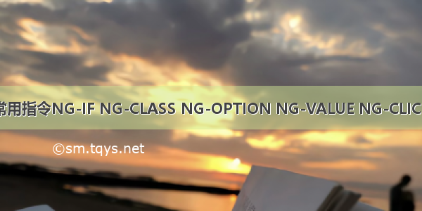 ANGULAR JS常用指令NG-IF NG-CLASS NG-OPTION NG-VALUE NG-CLICK是如何使用的？