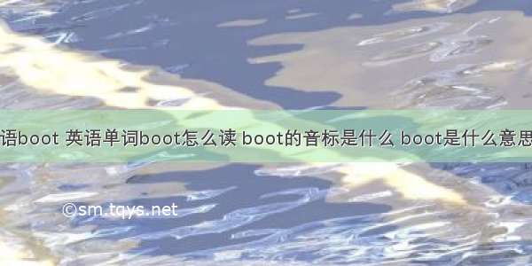 计算机英语boot 英语单词boot怎么读 boot的音标是什么 boot是什么意思 - 音标网