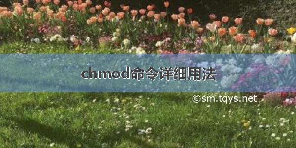 chmod命令详细用法