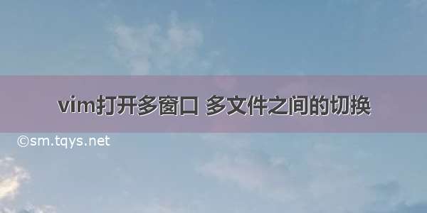 vim打开多窗口 多文件之间的切换