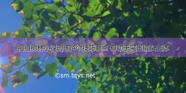 拍摄树林小径时 有4个技巧要点 有助于突出镜头主体