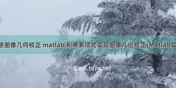 遥感图像几何校正 matlab 利用多项式实现图像几何校正(Matlab实现)