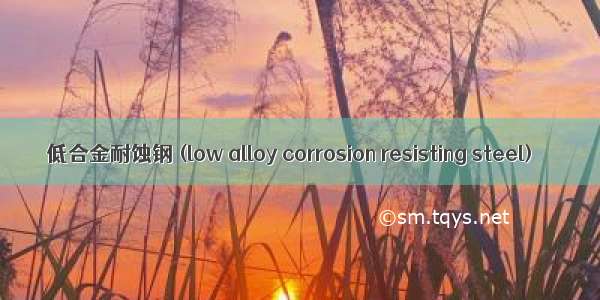 低合金耐蚀钢 (low alloy corrosion resisting steel)