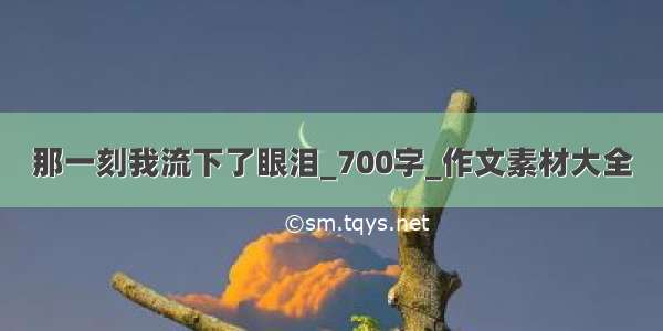 那一刻我流下了眼泪_700字_作文素材大全