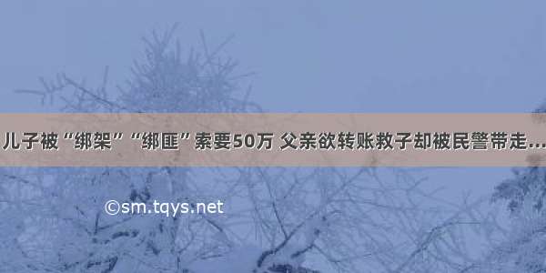 儿子被“绑架”“绑匪”索要50万 父亲欲转账救子却被民警带走...