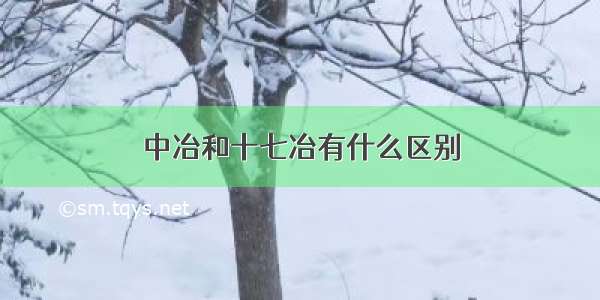 中冶和十七冶有什么区别