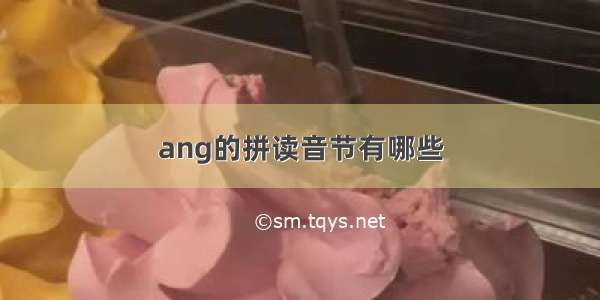 ang的拼读音节有哪些