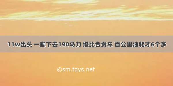 11w出头 一脚下去190马力 堪比合资车 百公里油耗才6个多