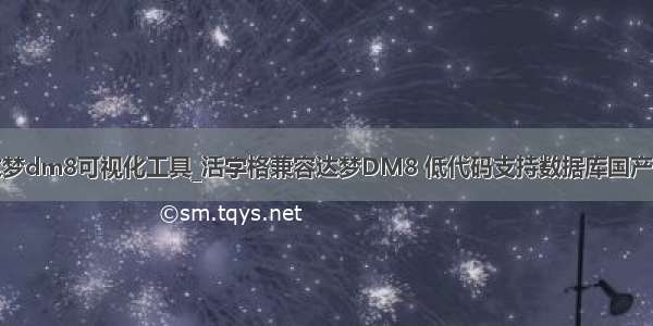 达梦dm8可视化工具_活字格兼容达梦DM8 低代码支持数据库国产化