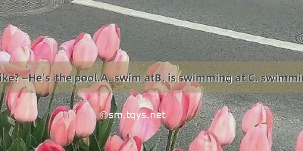—Where is Mike? —He’s  the pool.A. swim atB. is swimming at C. swimming atD. swim