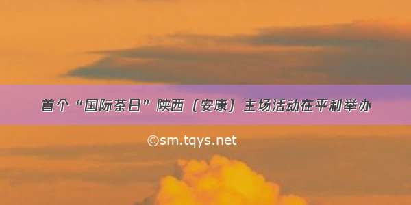 首个“国际茶日”陕西（安康）主场活动在平利举办