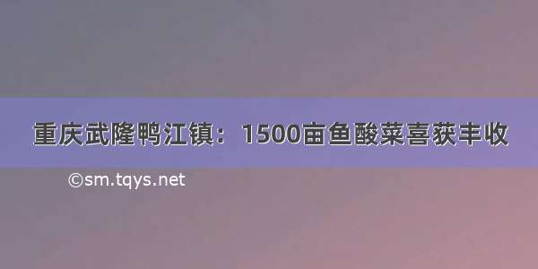 重庆武隆鸭江镇：1500亩鱼酸菜喜获丰收